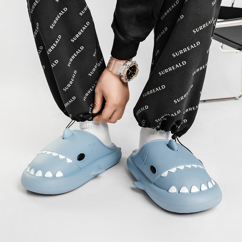 SharkSlides Winter®