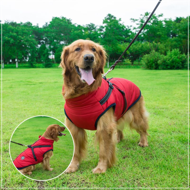 Pawbibi Sport™ - Waterproof Winter Jacket with Built-in Harness