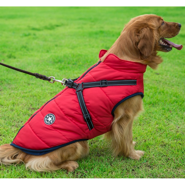 Pawbibi Sport™ - Waterproof Winter Jacket with Built-in Harness