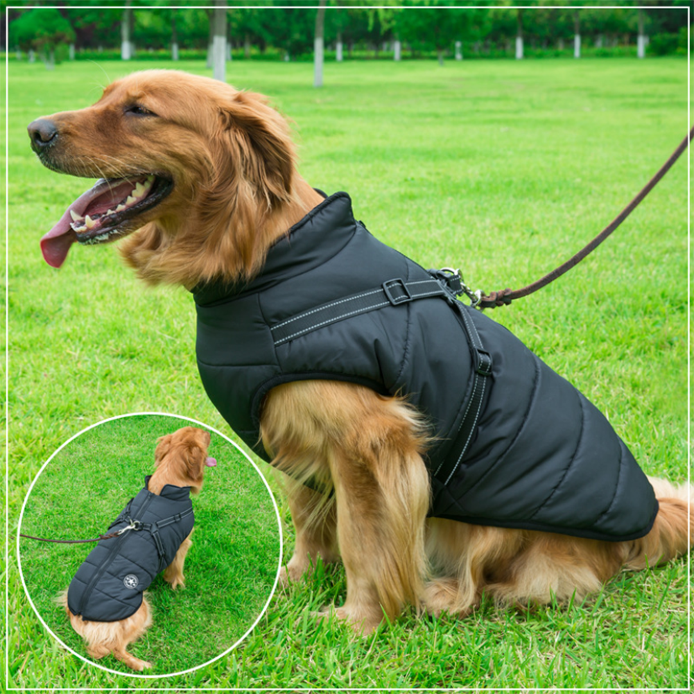 Pawbibi Sport™ - Waterproof Winter Jacket with Built-in Harness